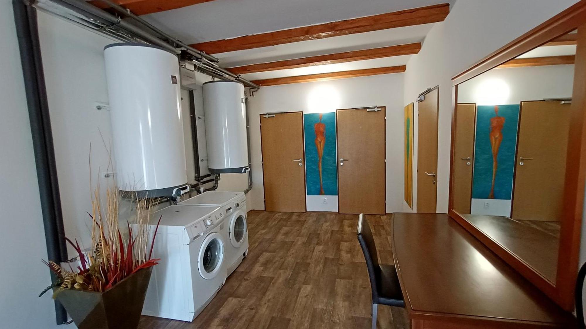 Apartments Gato Karlovy Vary Dalovice 外观 照片