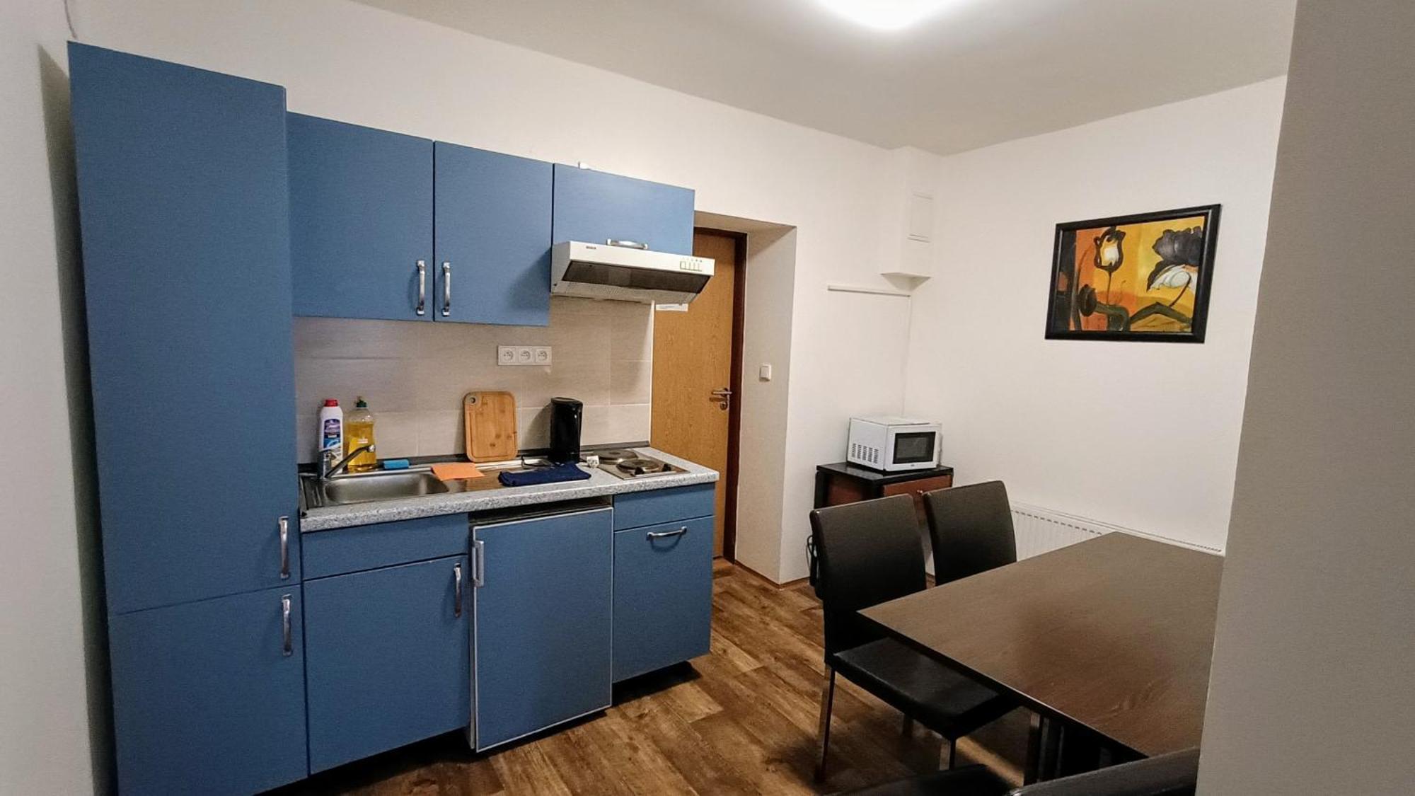 Apartments Gato Karlovy Vary Dalovice 外观 照片